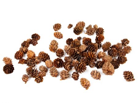 Набор декоративных шишек 100 грамм (натуральные материалы)