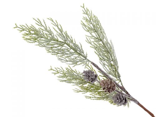 Ветка декоративная хвойная 60 см (пластик)