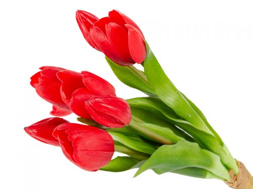 Букет тюльпанов 