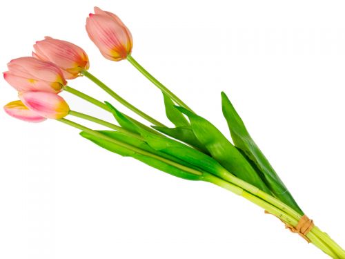 Тюльпан 5ка гель