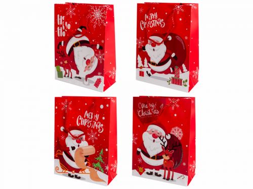 Подарочный пакет 18х24х8,5 см (бумага)