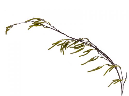 Березовые сережки 105 см