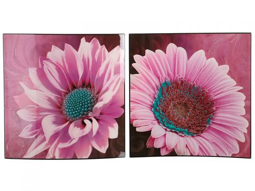 Комплект картин 2 шт 38х38см