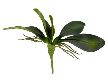 Лист фаленопсиса 25 см гель