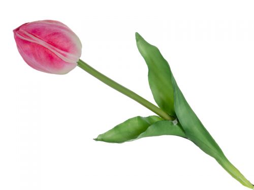 Тюльпан бело-розовый 43 см(шелк искусственный)