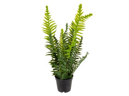 Искусственное растение Папоротник зеленый 34х30х30 см (пластик / железо)