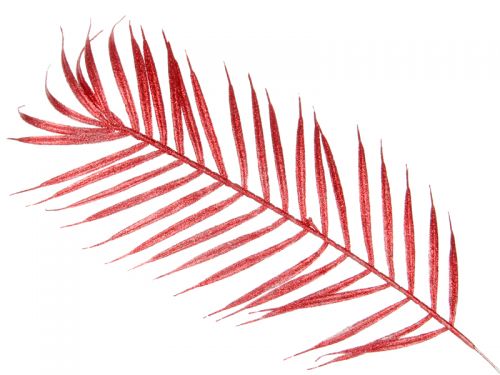 Веточка декоративная 65см в ассортименте