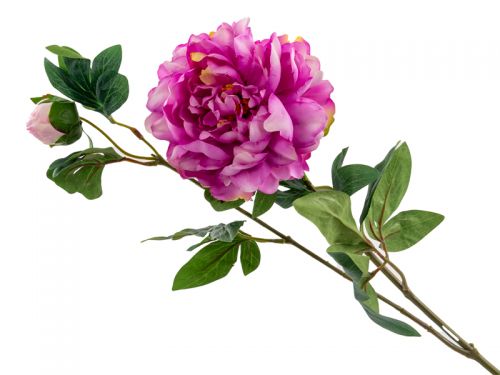 Пион фиолетовый 68 см