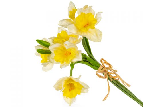 Пучок нарцисса 6 голов пена