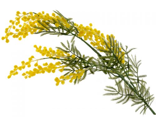 Ветка мимозы желтая 80 см (пластик с напылением)