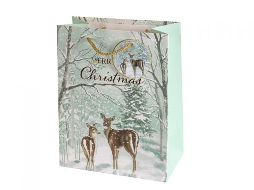 Подарочный пакет 18х23х10 см (бумага)