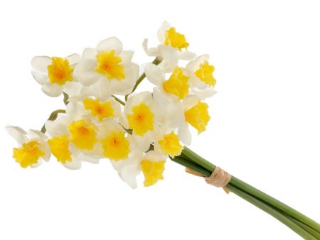 Букет нарциссов из 3 штук белый 50 см (силикон)