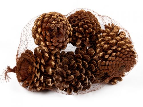 Набор декоративных шишек 6 шт (натуральные материалы)