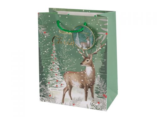 Подарочный пакет 18х23х10 см (бумага)