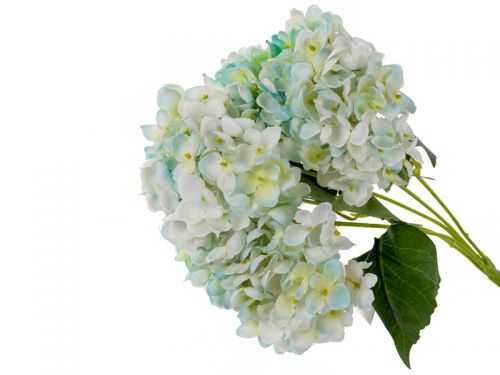 Букет гортензии 5 голов 50см