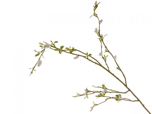 Ветка вербы высокая 130см