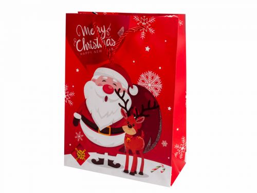 Подарочный пакет 18х24х8,5 см (бумага)