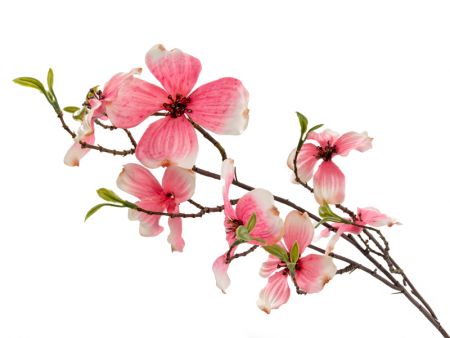 Ветка Дерен розовая 75 см