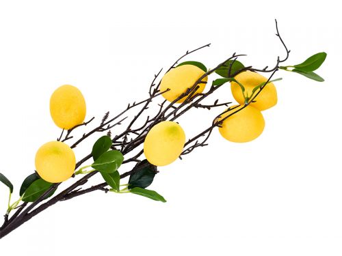 Гілка лімона 6 шт.