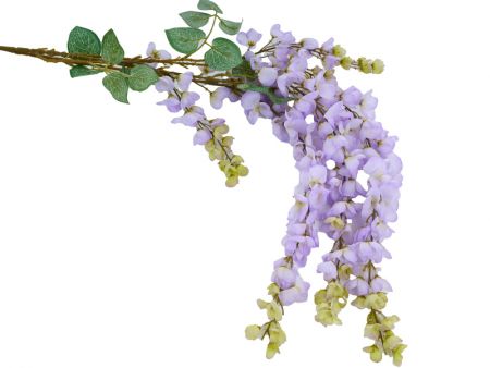 Гліцинія NR колір лавандовий