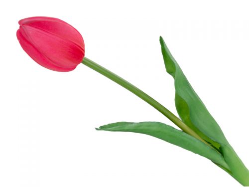 Тюльпан красный 43 см (шелк искусственный)