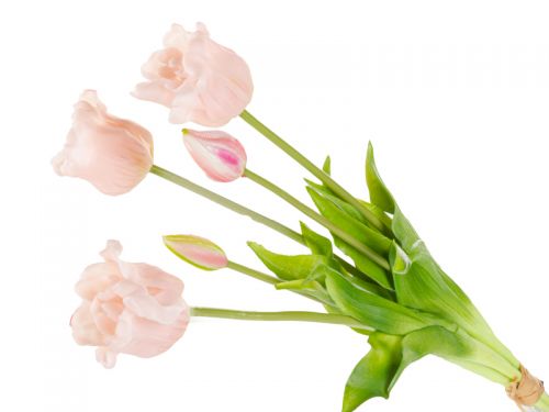 Букет тюльпанов 