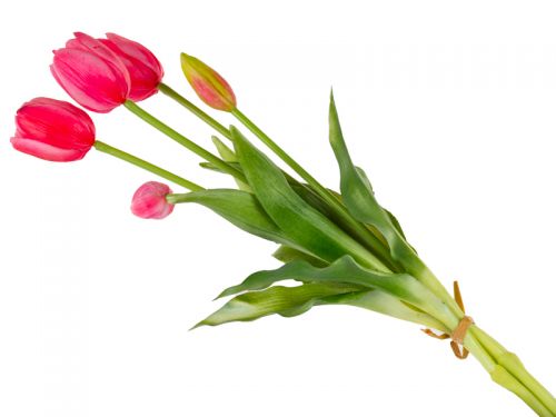 Тюльпан 5шт латекс