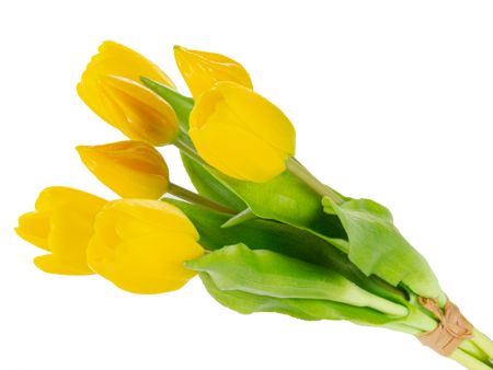 Букет тюльпанов 