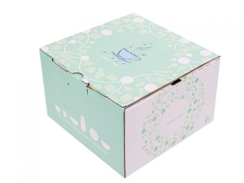 Чайный набор 2 предмета 270 мл