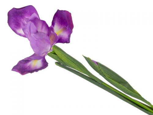 Ирис лиловый 76 см (пластик)