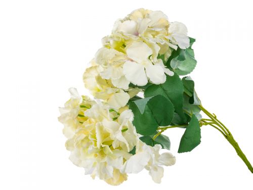 Букет гортензии 5 голов