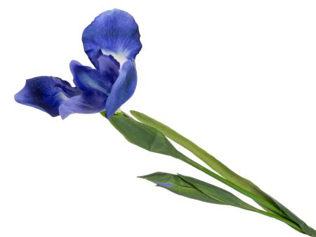 Ирис голубой 76 см (пластик)