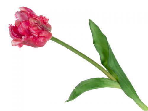 Тюльпан красно-розовый 47 см (шелк искусственный)