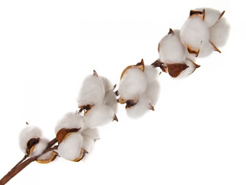 Веточка декоративная 