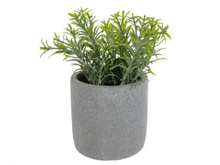 Искусственное растение Розмарин зеленый 19х10х10 см (шелк искусственный/ пластик/ цемент)