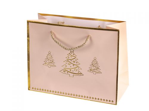 Подарочный пакет 23х17х10 см (бумага)