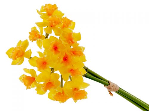 Букет нарциссов из 3 штук желтый 50 см (силикон)