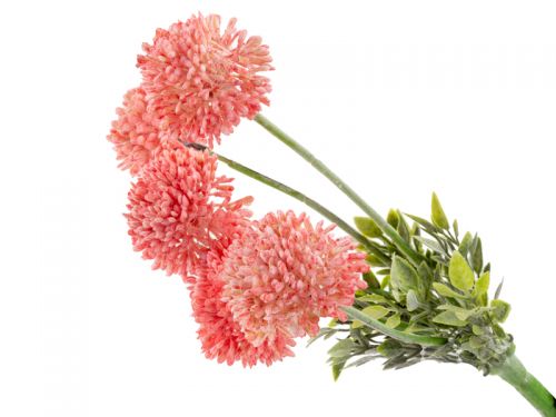 Букет дикого чеснока розовый 30 см (пластик)