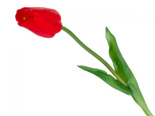 Тюльпан красный 44 см (шелк искусственный)