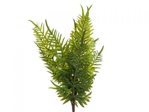 Кущ папороті 47 см