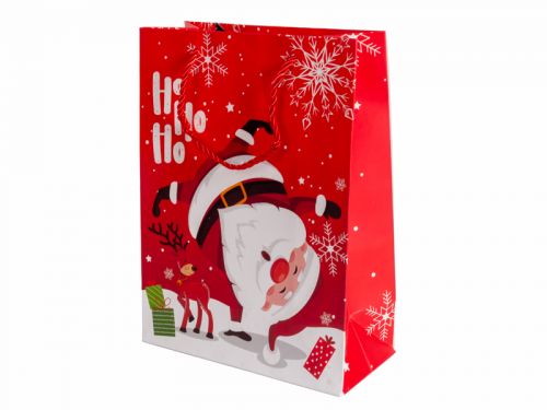 Подарочный пакет 18х24х8,5 см (бумага)