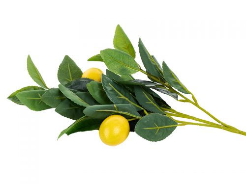 Гілочка з лімоном 1 ка