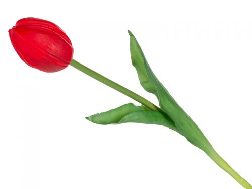 Тюльпан фуксия 43 см (шелк искусственный)