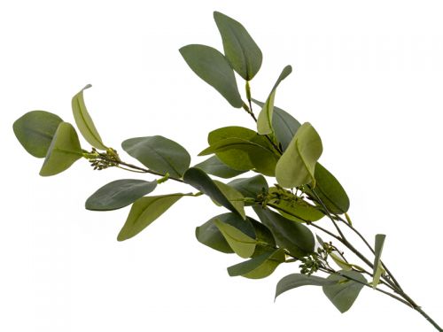 Ветка Эвкалипта зеленая 93 см