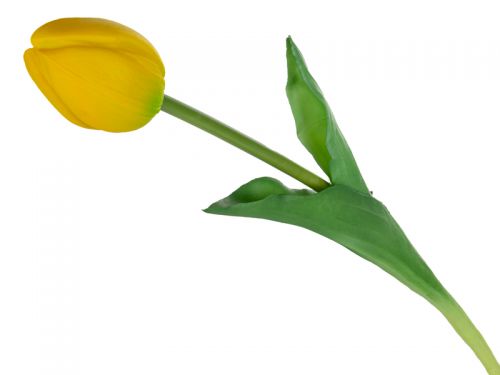 Тюльпан желтый 43 см (шелк искусственный)