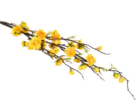 Гілка сакури на корчі 2 кольори