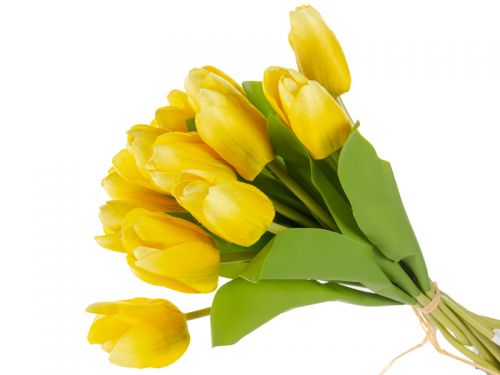 Пучок тюльпана 12голов гель