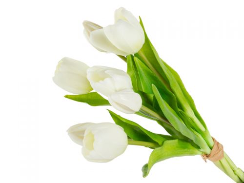 Букет тюльпанов 