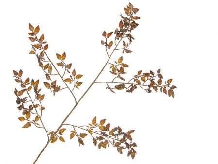Декоративная веточка 80см