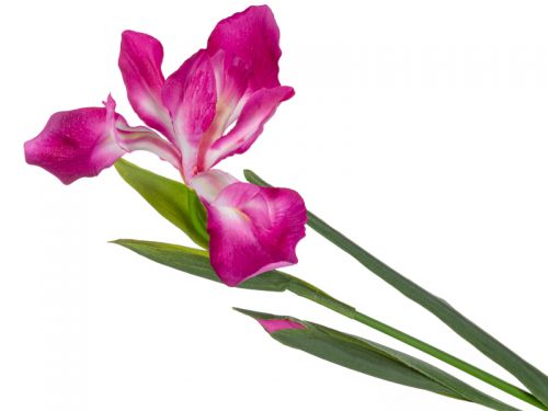 Ирис розовый 76 см (пластик)